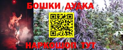 PSILOCYBIN Кимры