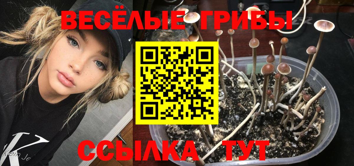 Псилоцибиновые грибы ЛСД Костомукша